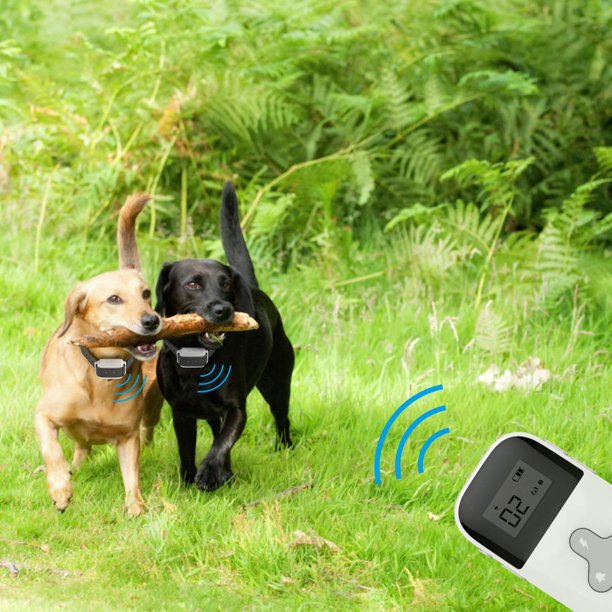 Mini Remote Collar for Dogs with Beep and Vibration Modes for Pet Behaviour Training - Waterproof & 300 Meter Range - Suitable for Extra Small to Medium Dogs